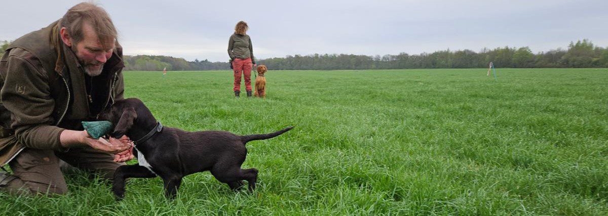 Puppy brengt dummy bij jager.